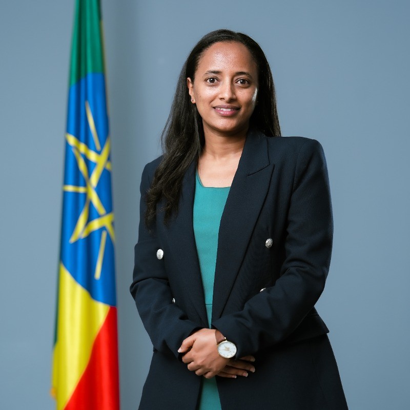 Hana Tehelku, Director General, Ethiopian Capital Market Authority